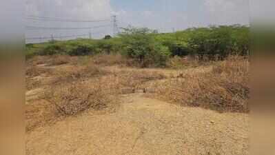 200 trees felled, 1.5 acres of protected Aravalis cleared