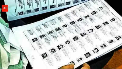 75% pre-SIR mapping completed, physical revision from June 30