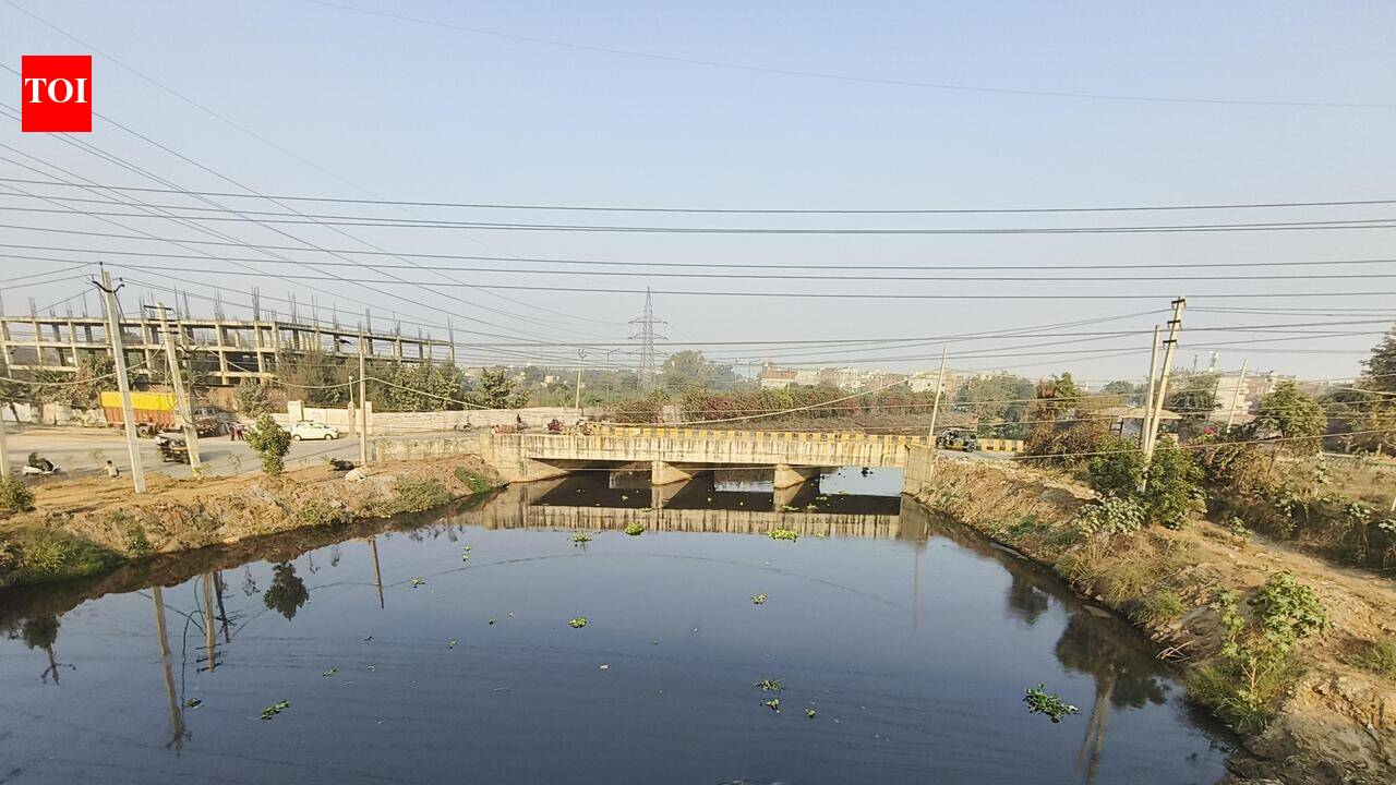 City’s ₹650 crore water treatment project chokes on dairy waste