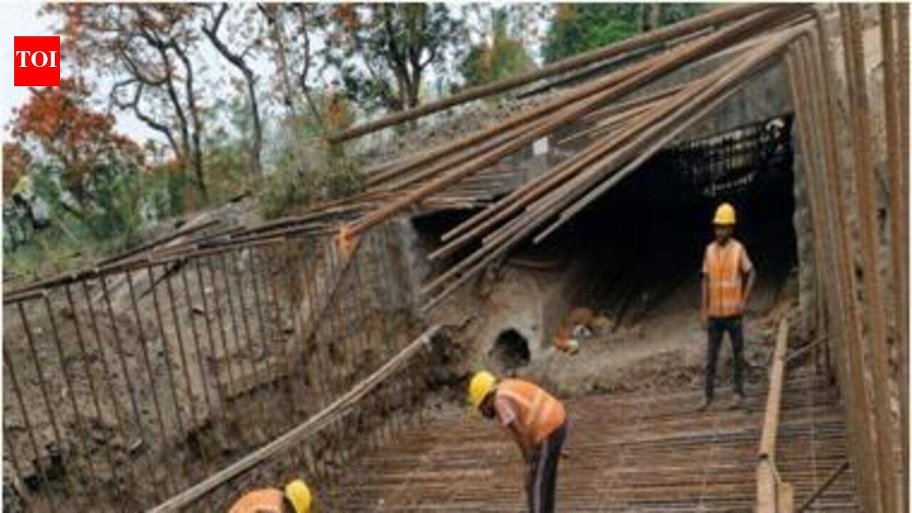 Paliyam Thuruth-Kadamakkudy bridge gets alignment nod