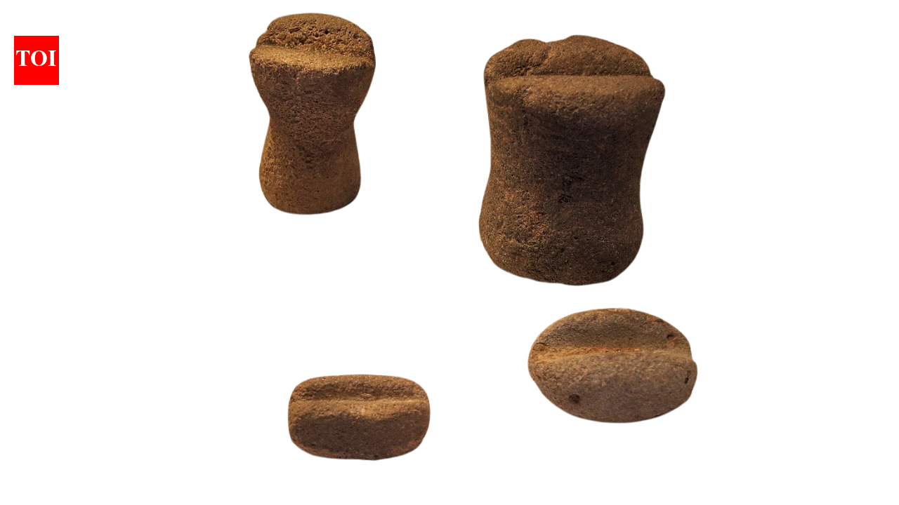 In 2018, charred flatbread remains from Jordan suggested Late Epipalaeolithic people were baking before they started farming