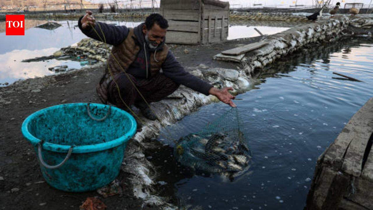 Kashmir struggled with fish for years, until a British duke shipped 10,000 trout ova making it a national capital