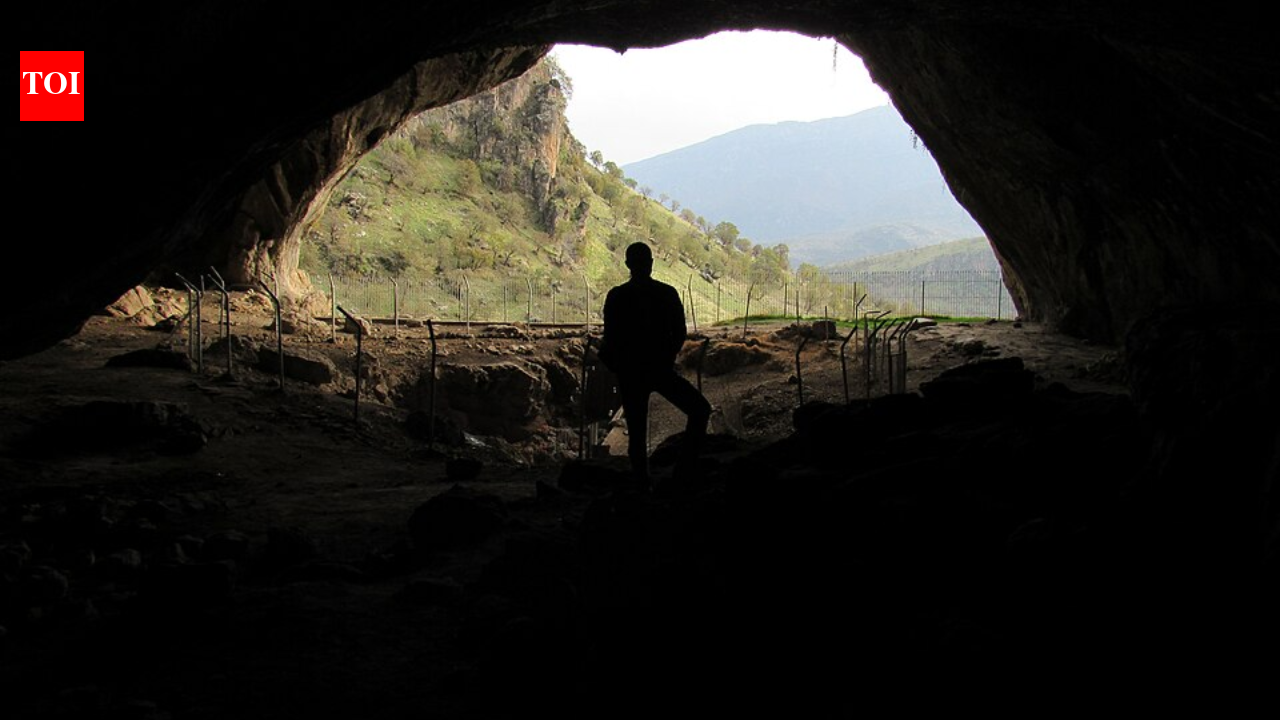 In 2024, archaeologists at Shanidar Cave uncovered a Neanderthal child burial and revived the debate over intentional care