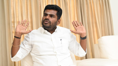 I have no complaints against BJP, but I often felt constrained: Annamalai