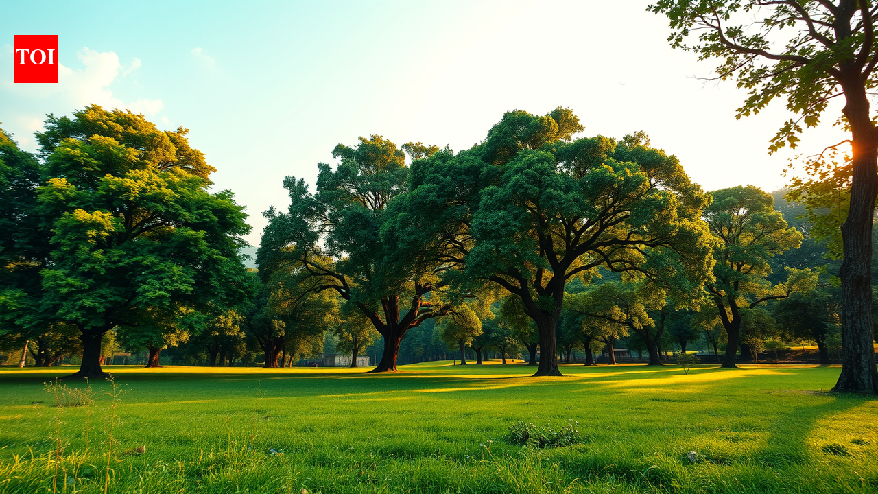Bareilly Cantonment achieves carbon-negative status