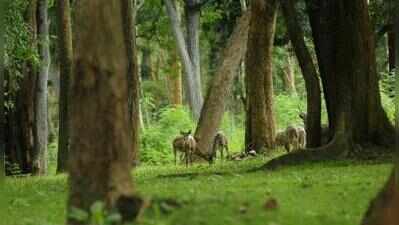 Peoples biodiversity registers being digitized across Kerala