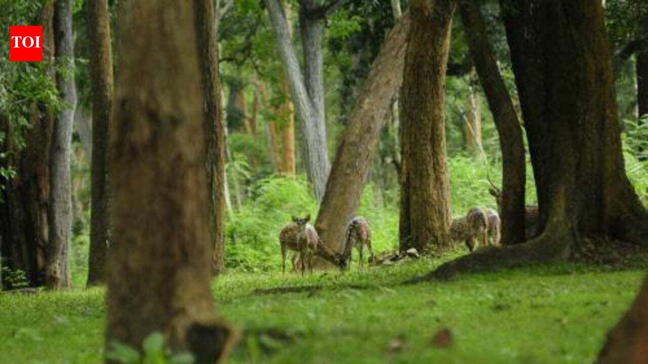 Peoples biodiversity registers being digitized across Kerala