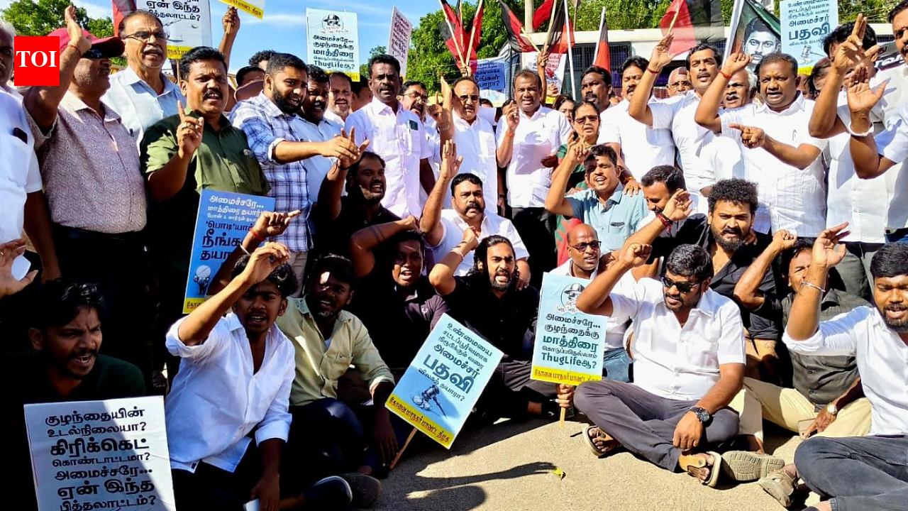 DMK members hold protests against TVK minister Sarathkumar over controversial video, arrested