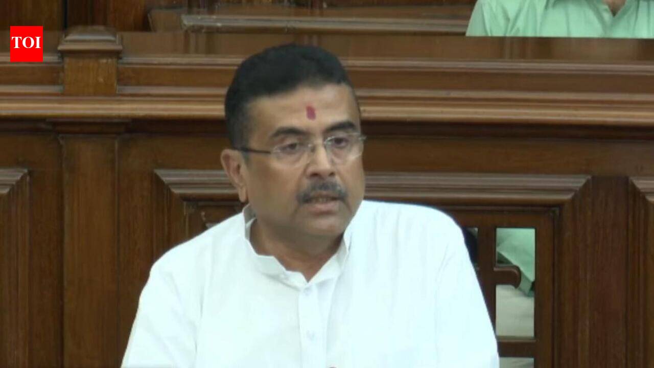 ‘If the pen is Hakim, Didi is the inkpot,’ says Adhikari