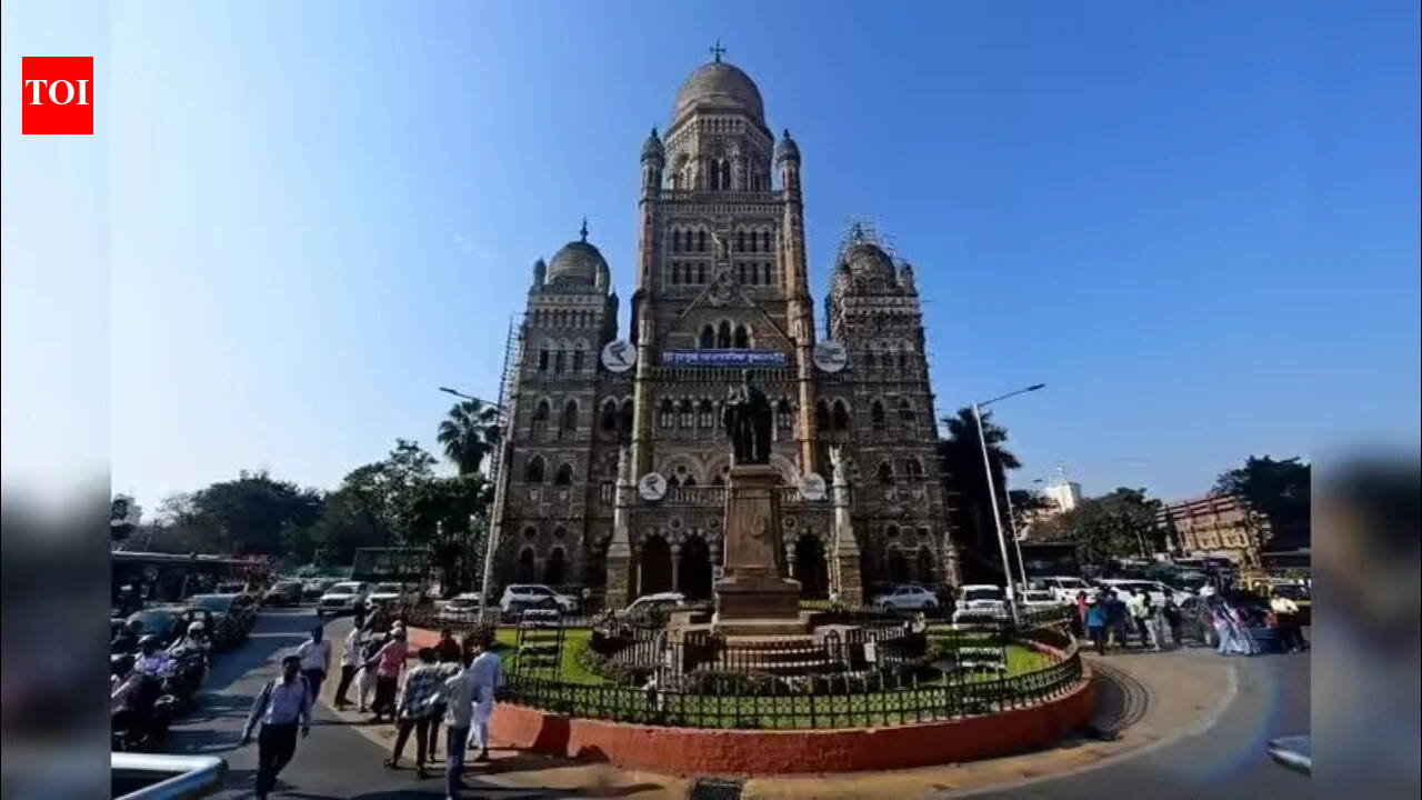Mumbai residents can now report illegal hawking through BMC WhatsApp chatbot
