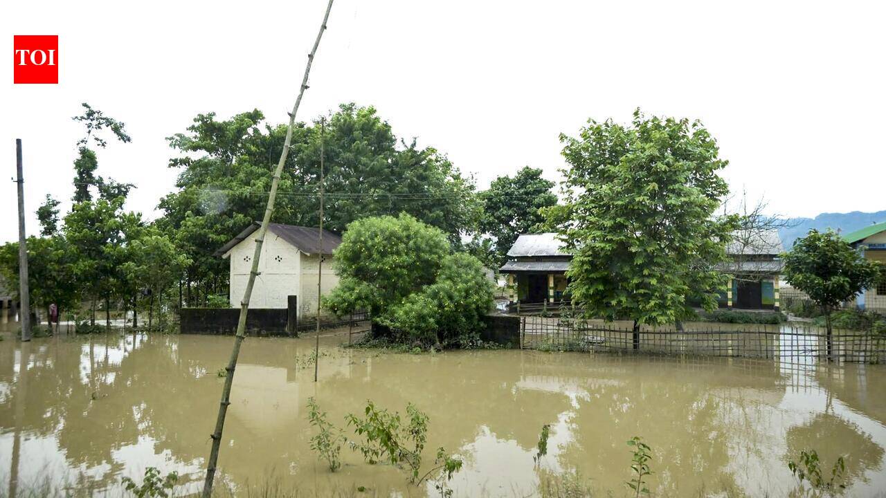 Rain in Arunachal triggers floods in Assam; Dhemaji hit hard