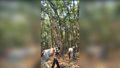 Camping inside Malsi protected forest sparks conservation concerns