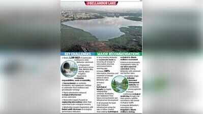 Foam gone, but Bengaluru’s Bellandur lake revival misses core issues: Citizens’ report