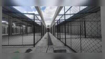 Bengaluru’s dog shelter plan hits a ruff patch as NGOs flag design & staffing issues