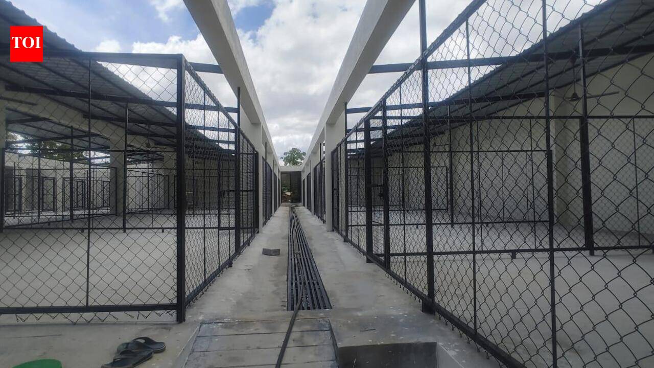 Bengaluru’s dog shelter plan hits a ruff patch as NGOs flag design & staffing issues