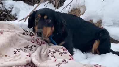  What his family discovered moments later left them completely frozen in shock and tears