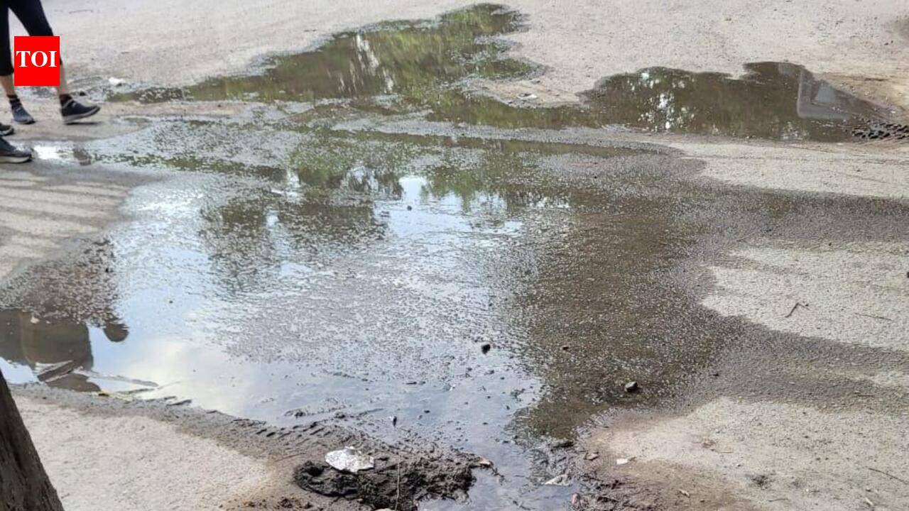 MCG among 5 corporations to revamp 684km of ageing sewer network in Haryana