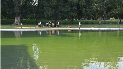 Scientists say the green water in DC's Lincoln Memorial Reflecting Pool is a warning, because warm sun, extra nutrients, and a heat-holding dark basin can turn calm water into a cyanobacteria bloom that also threatens lakes and drinking supplies