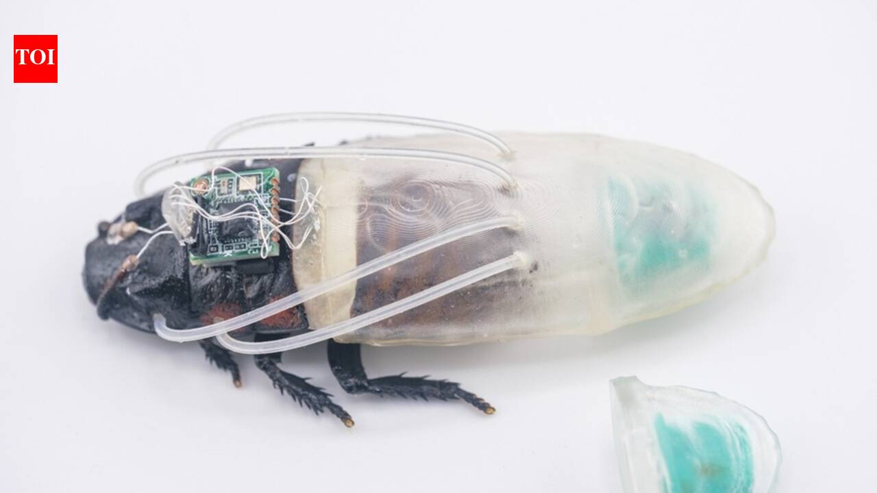 Scientists just gave remote-controlled cockroaches scuba suits, and the cyborg insects can now breathe underwater for up to 3 hours