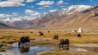  The incredible high-altitude world hidden in Ladakh