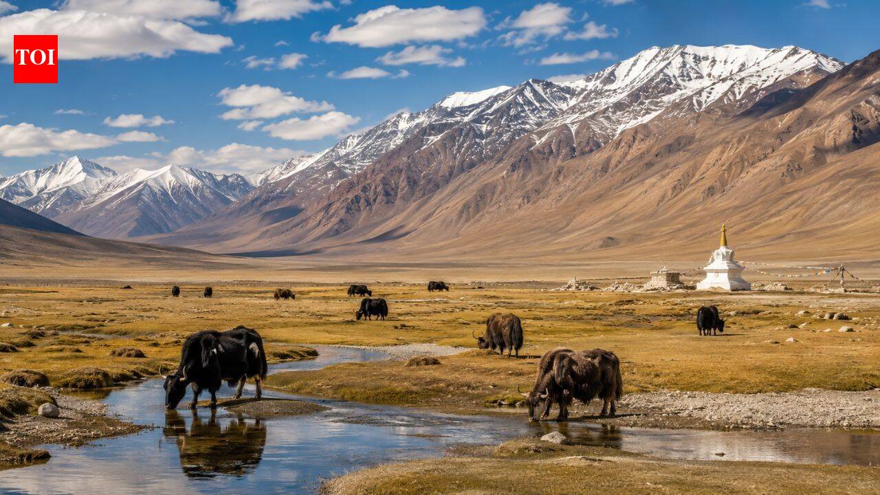 Which plateau is known as the Roof of India: The incredible high-altitude world hidden in Ladakh