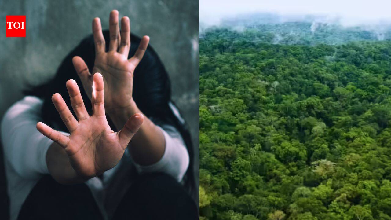 Woman gang-raped in Maharashtra forest while sitting with male friend; 11 arrested