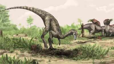Before anyone knew dinosaurs existed, a man found one of their bones and thought it belonged to a giant elephant