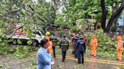 Tree falls on man in Thane; 11 vehicles damaged