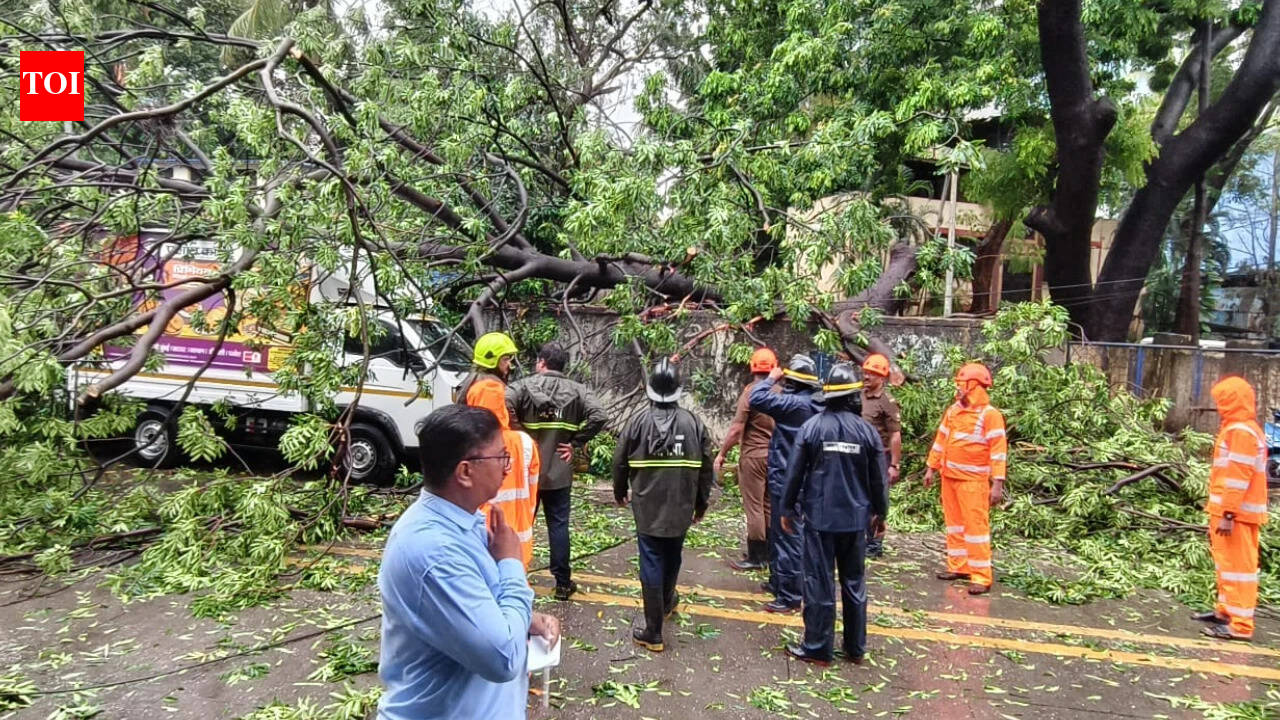 Tree falls on man in Thane; 11 vehicles damaged