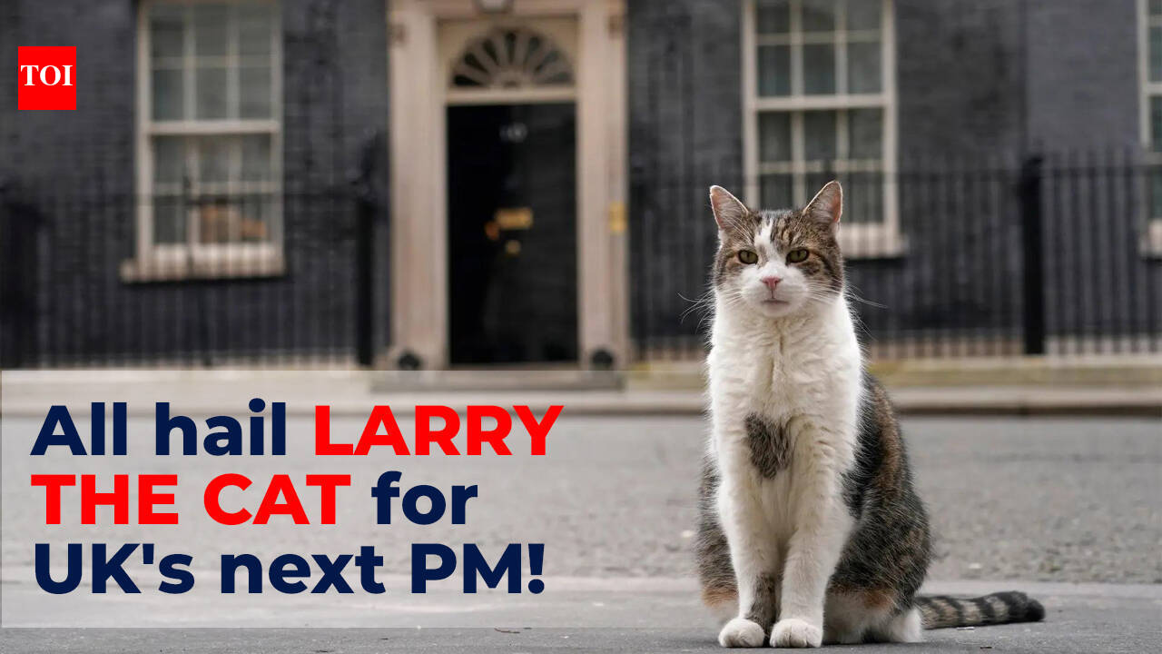 Six prime ministers later, it’s Larry the Cat’s turn to lead UK