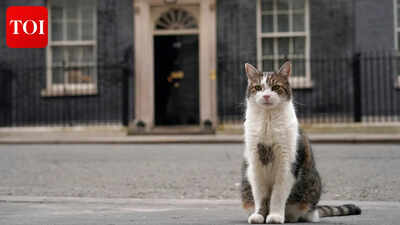 Six PMs later, Larry the Cat wants to throw himself into the fray