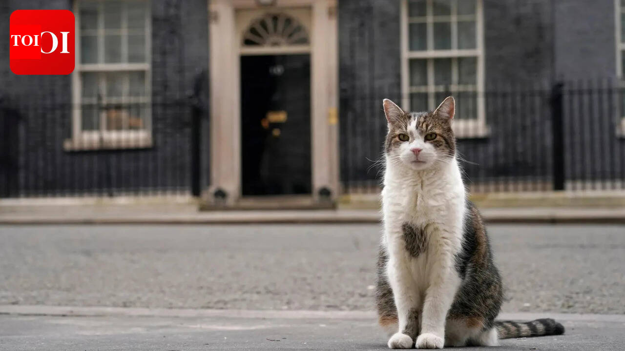 Six PMs later, Larry the Cat wants to throw himself into the fray