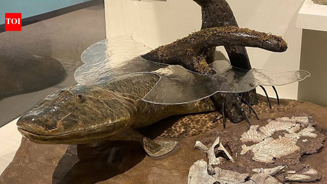 In 2004, palaeontologists pried Tiktaalik from Arctic rock, clarifying how vertebrates moved onto land
