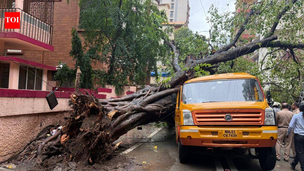 मुंबई बारिश: चेंबूर में पेड़ गिरने से स्कूल वैन कुचली, 5 छात्र अस्पताल में भर्ती | भारत समाचार