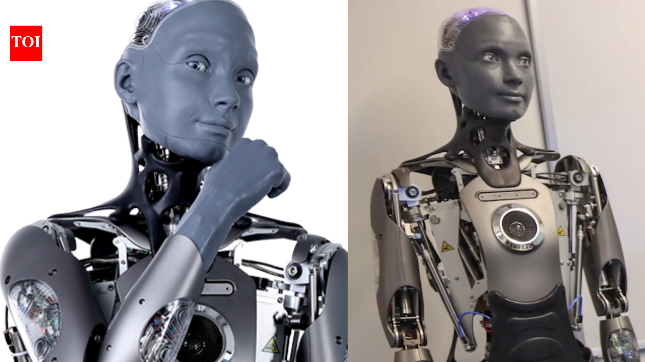 Teacher, counsellor & translator: San Diego school unveils $500,000 ChatGPT-powered robots