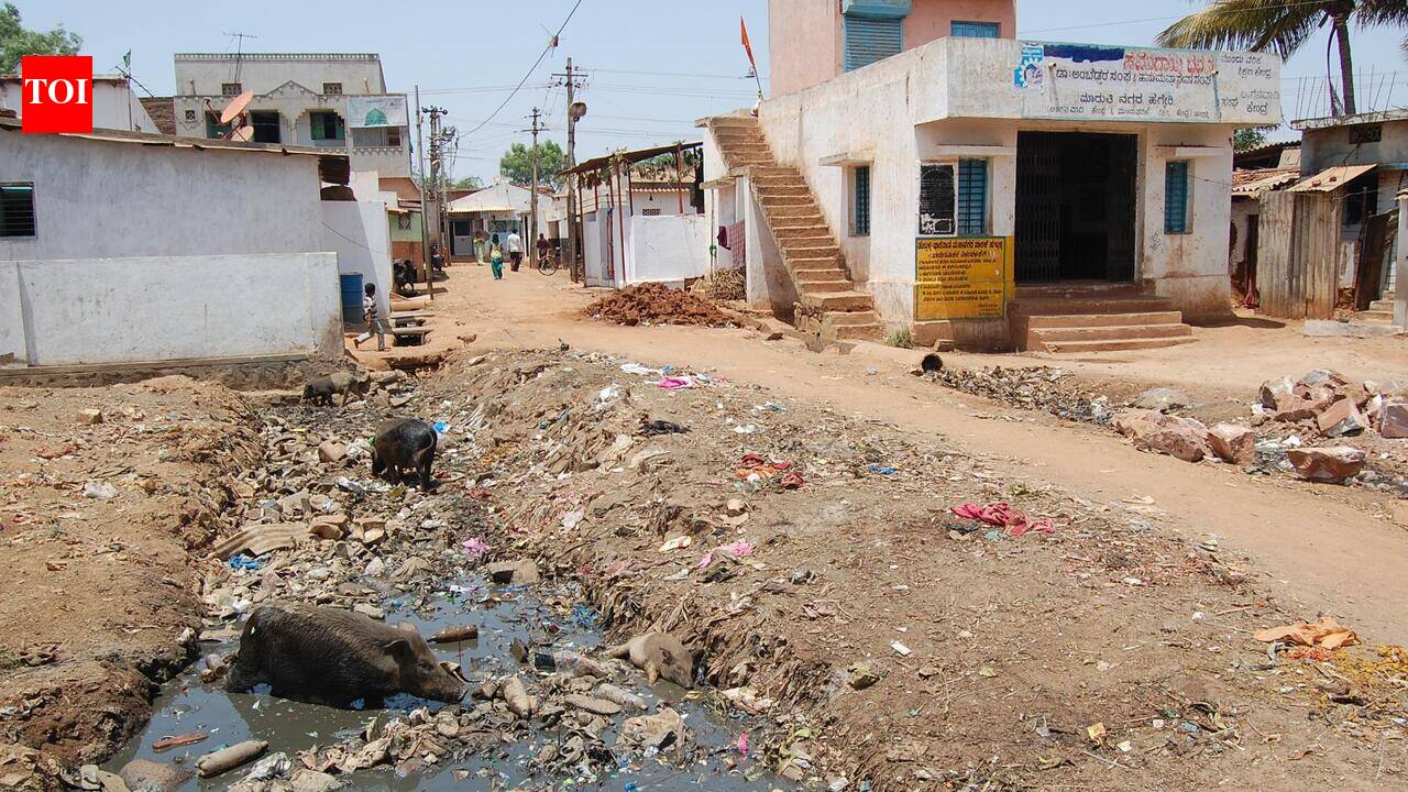 Gaya civic body flags delay in pre-monsoon drain cleaning