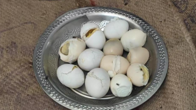 Rotten and bullet eggs found in meals served to schoolchildren in Namakkal district