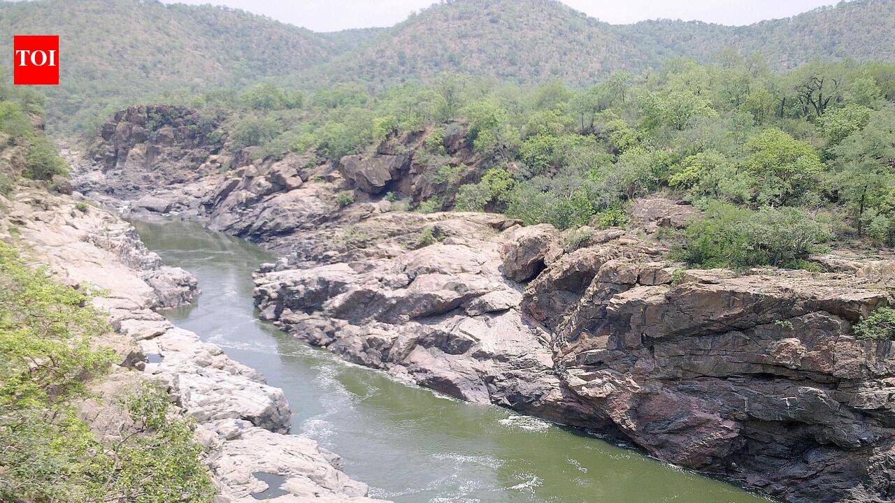 Congress vows to fight Mekedatu dam project