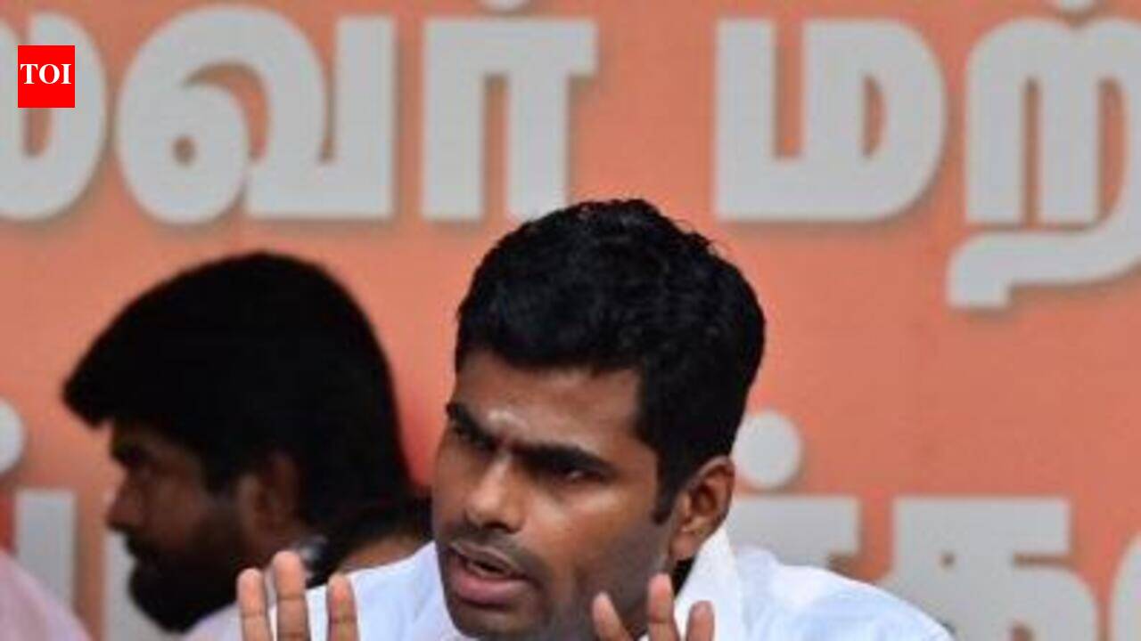 Baalu, Annamalai withdraw pending defamation cases against each other