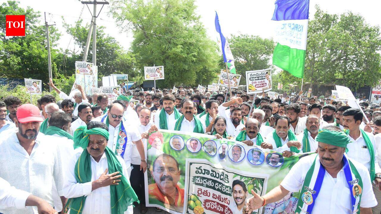 YSRCP demands a remunerative price for Totapuri mangoes in Chittoor