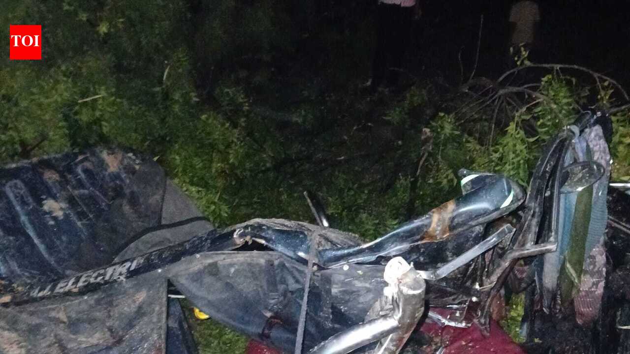 5 dead as tree falls on e-rickshaw during storm in Firozabad