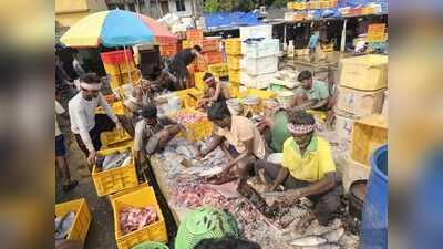 BMC to set up 50-tonne per day non-veg trash processing plant