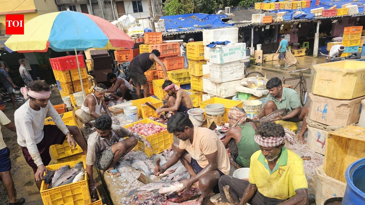 BMC to set up 50-tonne per day non-veg trash processing plant