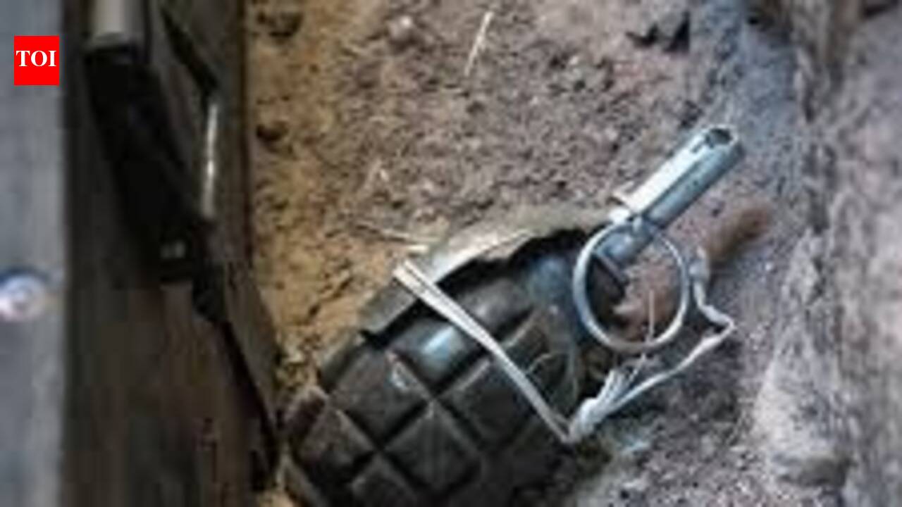 Grenade hurled at railway labour camp near Assam-Nagaland border; fails to explode