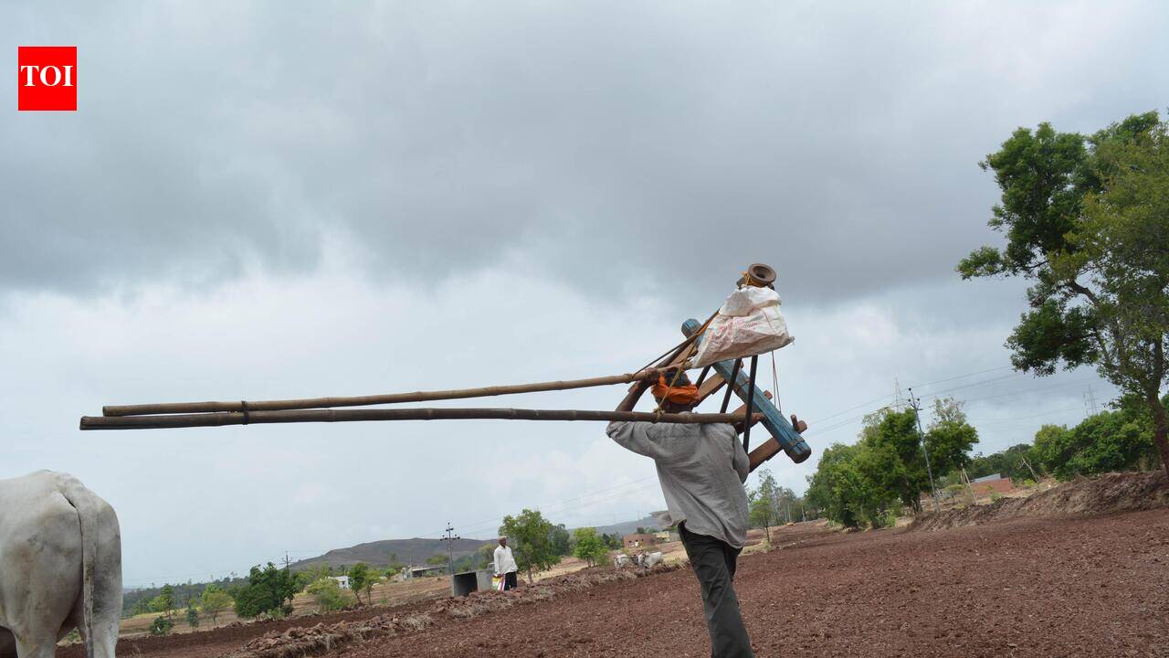 June monsoon loses steam, leaves Maharashtra with half its normal rainfall