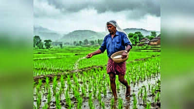 Experts, farmers call for shift to natural fertilisers amid supply concerns