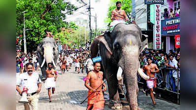Sukhachikitsa for Guruvayur elephants to begin Wednesday