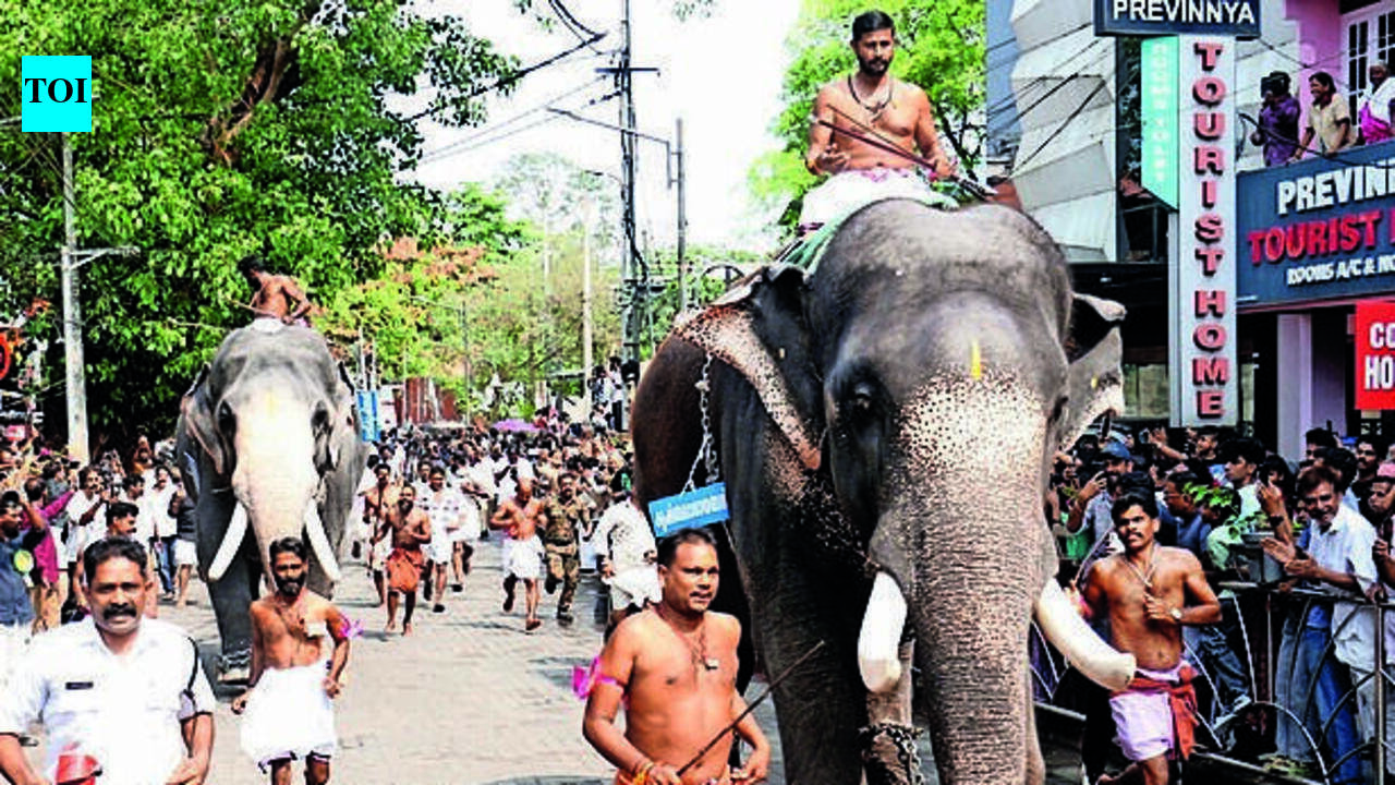 Sukhachikitsa for Guruvayur elephants to begin Wednesday