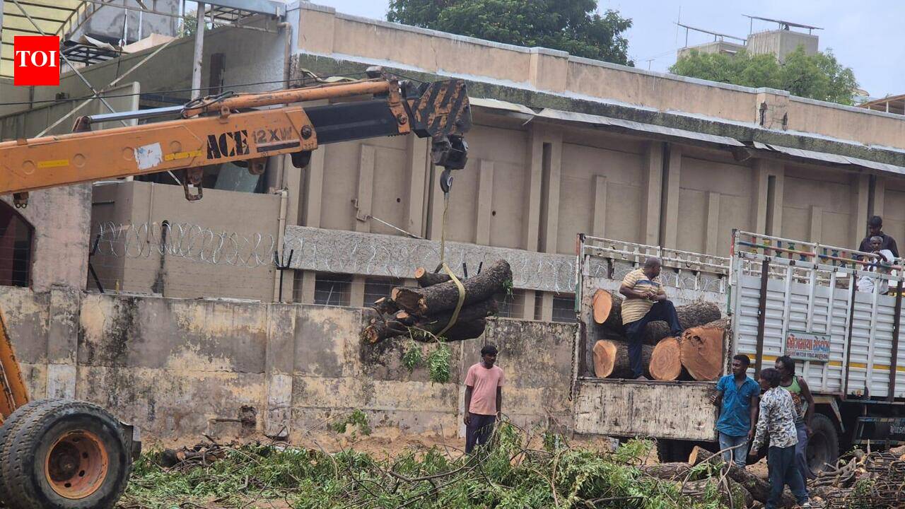 Hostel axes two trees; AMC seizes vehicle, mulls heavy fines