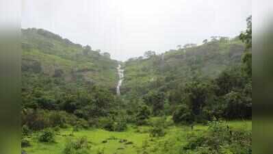 Drive against halting near eway waterfalls